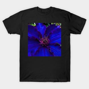 The Deep Quiet Joy of Neon Blue Clematis T-Shirt